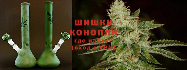 шишки Алзамай