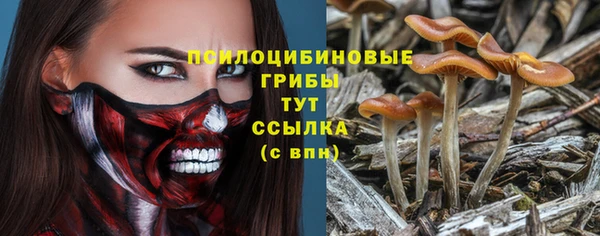 шишки Алзамай