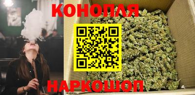 стаф Волгодонск