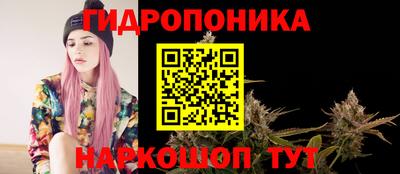 стаф Волгодонск
