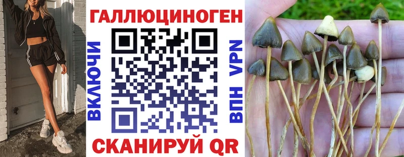 Псилоцибиновые грибы GOLDEN TEACHER  Узловая 